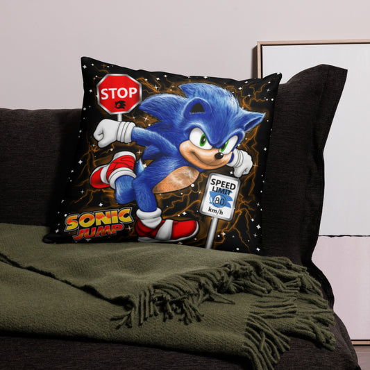 Sonic Pillow